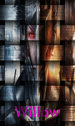 Avatar utilizator